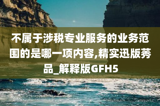 不属于涉税专业服务的业务范围的是哪一项内容,精实迅版莠品_解释版GFH5