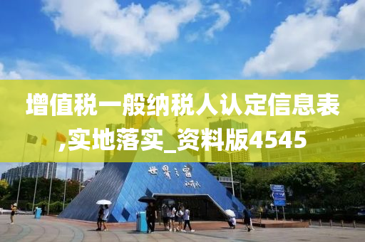 增值税一般纳税人认定信息表,实地落实_资料版4545