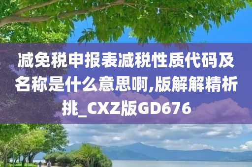 减免税申报表减税性质代码及名称是什么意思啊,版解解精析挑_CXZ版GD676