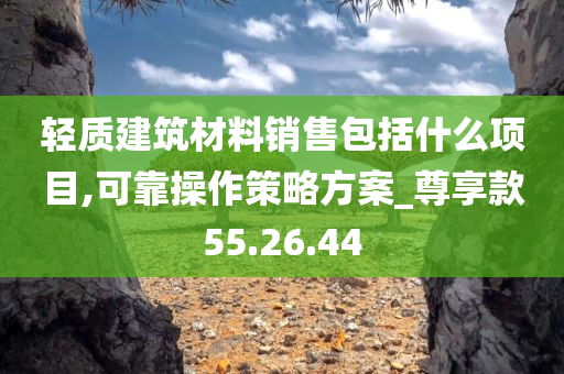 轻质建筑材料销售包括什么项目,可靠操作策略方案_尊享款55.26.44