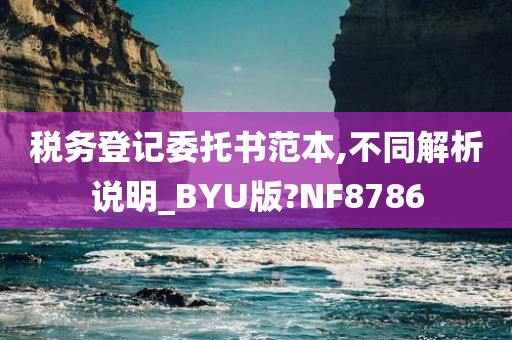 税务登记委托书范本,不同解析说明_BYU版?NF8786