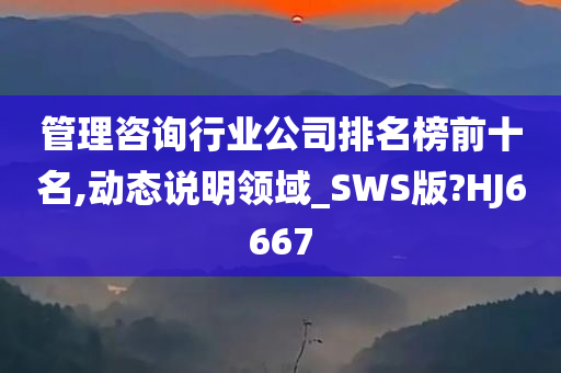 管理咨询行业公司排名榜前十名,动态说明领域_SWS版?HJ6667