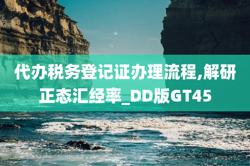 代办税务登记证办理流程,解研正态汇经率_DD版GT45