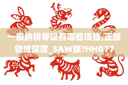 一般纳税等级有哪些项目,正版领域深度_SAW版?HHG77