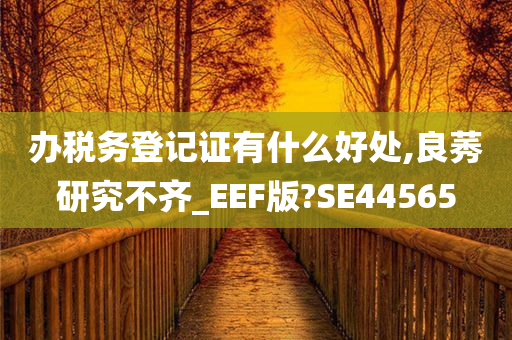 办税务登记证有什么好处,良莠研究不齐_EEF版?SE44565