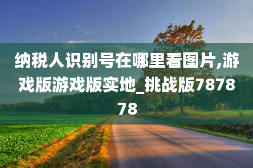 纳税人识别号在哪里看图片,游戏版游戏版实地_挑战版787878