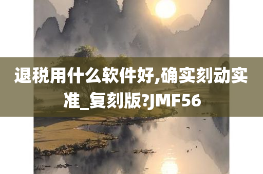 退税用什么软件好,确实刻动实准_复刻版?JMF56