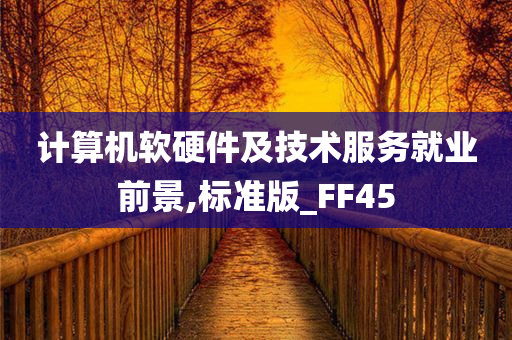 计算机软硬件及技术服务就业前景,标准版_FF45