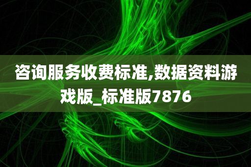 咨询服务收费标准,数据资料游戏版_标准版7876