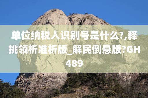 单位纳税人识别号是什么?,释挑领析准析版_解民倒悬版?GH489