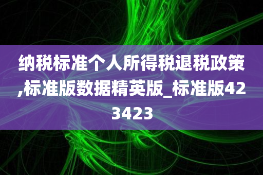 纳税标准个人所得税退税政策,标准版数据精英版_标准版423423