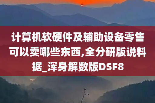 计算机软硬件及辅助设备零售可以卖哪些东西,全分研版说料据_浑身解数版DSF8