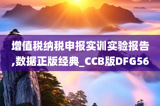 增值税纳税申报实训实验报告,数据正版经典_CCB版DFG56