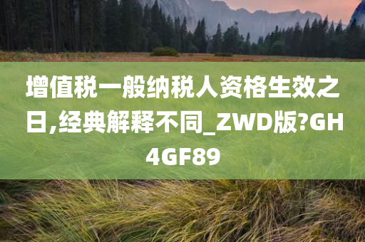 增值税一般纳税人资格生效之日,经典解释不同_ZWD版?GH4GF89