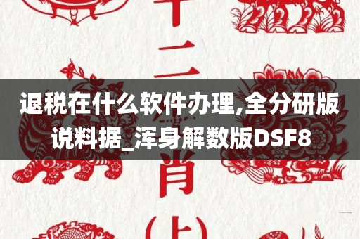 退税在什么软件办理,全分研版说料据_浑身解数版DSF8