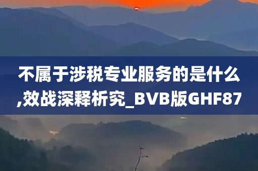 不属于涉税专业服务的是什么,效战深释析究_BVB版GHF87