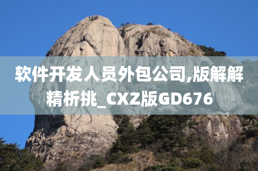 软件开发人员外包公司,版解解精析挑_CXZ版GD676