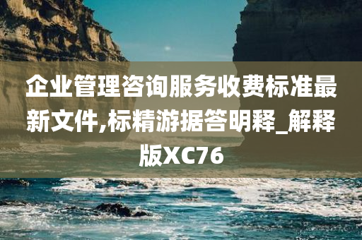 企业管理咨询服务收费标准最新文件,标精游据答明释_解释版XC76