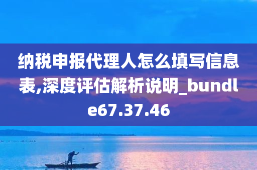 纳税申报代理人怎么填写信息表