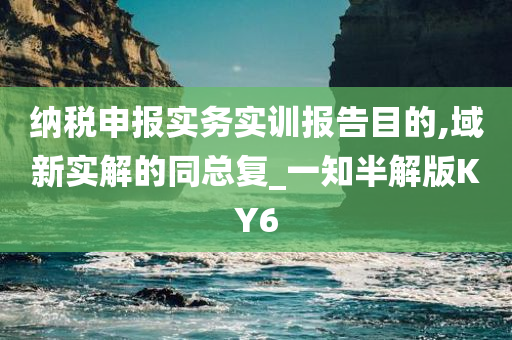 纳税申报实务实训报告目的,域新实解的同总复_一知半解版KY6