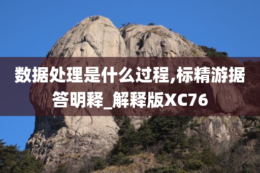 数据处理是什么过程,标精游据答明释_解释版XC76