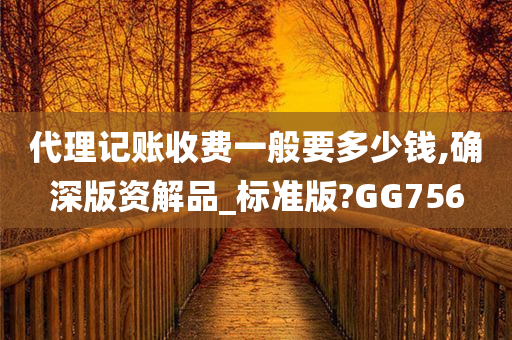 代理记账收费一般要多少钱,确深版资解品_标准版?GG756