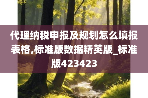 代理纳税申报及规划怎么填报表格,标准版数据精英版_标准版423423