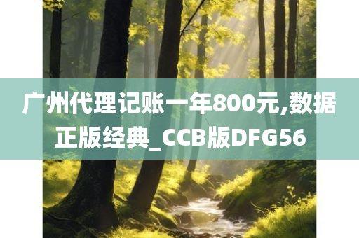 广州代理记账一年800元,数据正版经典_CCB版DFG56