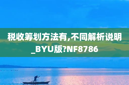 税收筹划方法有,不同解析说明_BYU版?NF8786