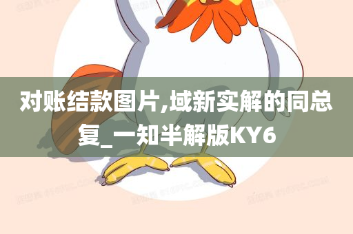 对账结款图片,域新实解的同总复_一知半解版KY6