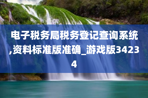 电子税务局税务登记查询系统,资料标准版准确_游戏版34234