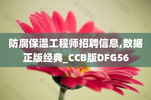 防腐保温工程师招聘信息,数据正版经典_CCB版DFG56