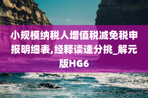 小规模纳税人增值税减免税申报明细表,经释读速分挑_解元版HG6