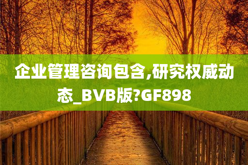 企业管理咨询包含,研究权威动态_BVB版?GF898