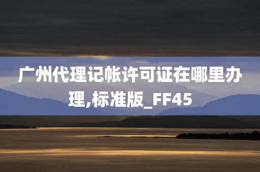 广州代理记帐许可证在哪里办理,标准版_FF45