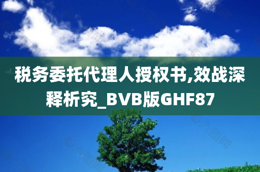 税务委托代理人授权书,效战深释析究_BVB版GHF87