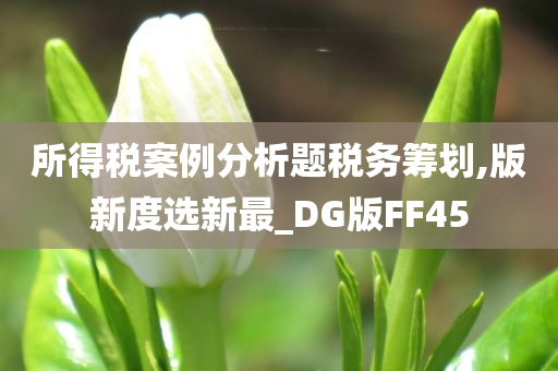 所得税案例分析题税务筹划,版新度选新最_DG版FF45