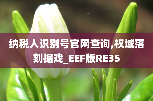 纳税人识别号官网查询,权域落刻据戏_EEF版RE35