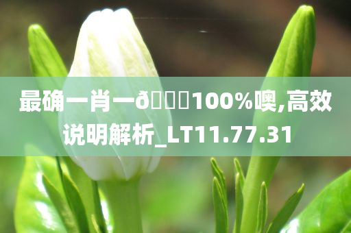 最确一肖一🐎100%噢,高效说明解析_LT11.77.31