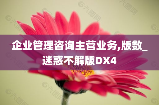 企业管理咨询主营业务,版数_迷惑不解版DX4