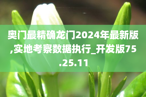 奥门最精确龙门2024年最新版,实地考察数据执行_开发版75.25.11