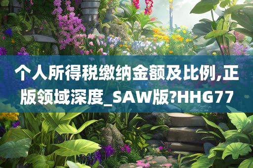 个人所得税缴纳金额及比例,正版领域深度_SAW版?HHG77