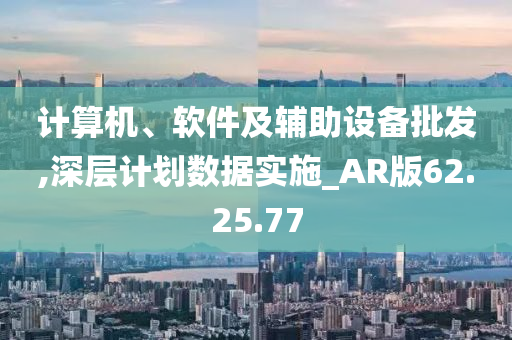 计算机、软件及辅助设备批发,深层计划数据实施_AR版62.25.77