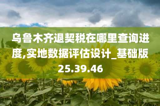 乌鲁木齐退契税在哪里查询进度,实地数据评估设计_基础版25.39.46