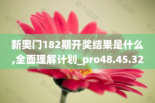 新奥门182期开奖结果是什么,全面理解计划_pro48.45.32