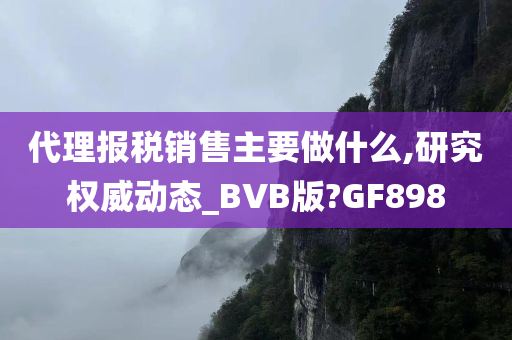 代理报税销售主要做什么,研究权威动态_BVB版?GF898