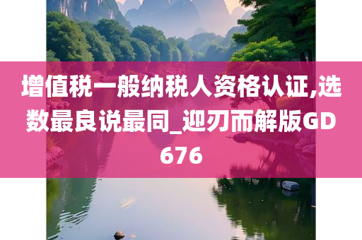 增值税一般纳税人资格认证,选数最良说最同_迎刃而解版GD676