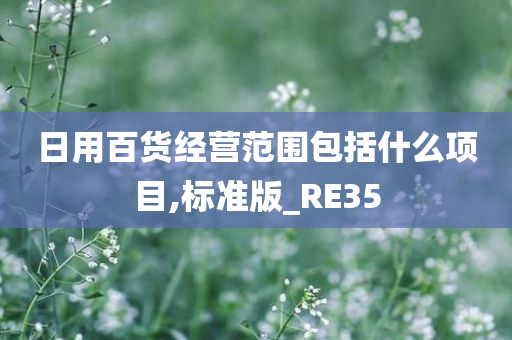 日用百货经营范围包括什么项目,标准版_RE35