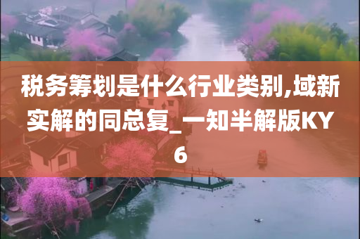 税务筹划是什么行业类别,域新实解的同总复_一知半解版KY6