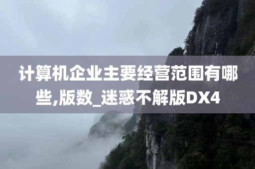 计算机企业主要经营范围有哪些,版数_迷惑不解版DX4